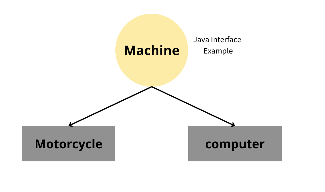  Primitive Data Types in Java