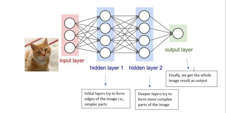 Neural networks